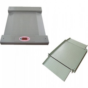 Low Profile Floor Scale